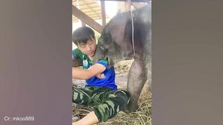 When animals and humans form a special bond-