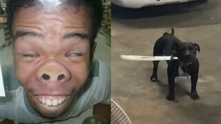 TRY NOT TO LAUGH Best Funny Videos Compilation PART 5