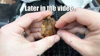 videoplayback