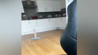 New Funny Videos 2023 Cutest Cats and Dogs Part