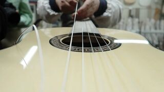 Process Of Making Classical Guitar. South Korean Instrument Master
