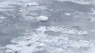 Смотри до конца