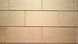 The bricks