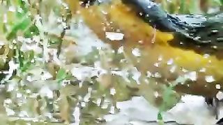 Absolute froggy carnage ????