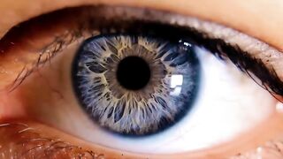 The Best Food for Your Eyes