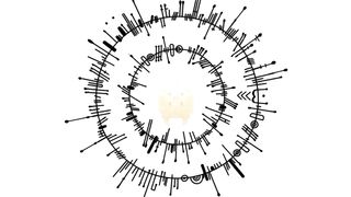 Musician - D.Gray-man (14th song)