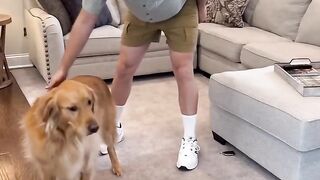 How dads pet their dogs! #dog #goldenretriever