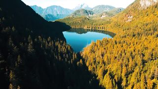 So nature