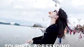 Win Funny