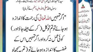 اسلامی معلومات Like share follow