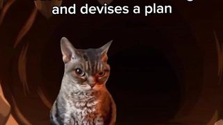 Lion king short parody