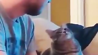 cat looking at you