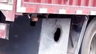 A booth for a trucker's dog