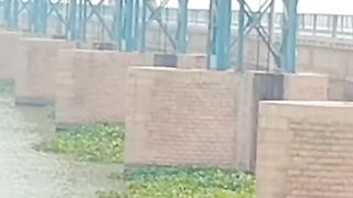 Zabar dasit video