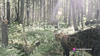 The Clash of Predators: Wild Cat vs. Snake