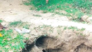 Best funny video