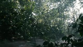 Best move clip,,????????????????????