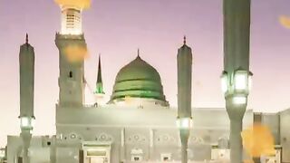 New   video foryou #fyp #viral #1M #ajmal #raza #qadri #itz_usman_editx#febdport