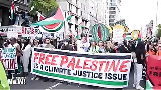 No ceasefire ll no vote
