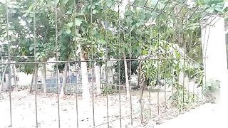 Create a Green Environment 2