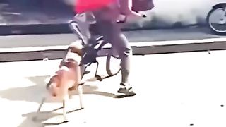 TRY NOT TO LAUGHING I Best Funny Videos Compilation 2023 # 658