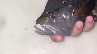 ALLAH HU AKBAR BEAUTIFUL