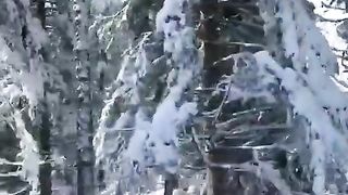 Amazing pick