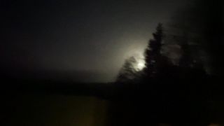 "Exploring the Mysteries of the Night: A Cinematic Journey into the Beauty of Nature ???????? #NighttimeWonders #NatureInFocus"