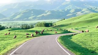 All the bad things are experiences, and all the good things will meet in the end.