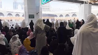 I miss the daily sounds