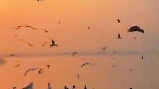 whatsapp status 2023 new hindi -- hindi love status new #hindistatus #hindistatus2023 #hindishorts.