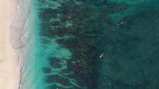 "Silent Wilderness: A Cinematic Voyage Through Nature's Untold Stories ???????? #NatureCinematics #VisualDiscovery"