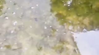 Kolam pembenihan ikan lele SEDERHANA rangka bambu Media plastik P.E cukup untuk belajar pemijahan ikan lele