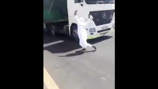 Top Funny  Video