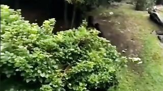 Funny Monkey Viral Video
