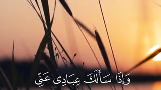 Surah Al-Baqarah Ayah 186 - surah baqarah