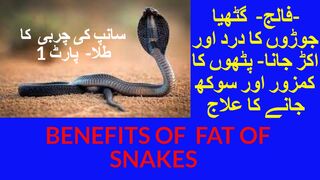 سانپ کی چربی کا طلا