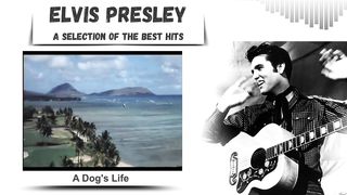 Elvis Presley / selection of hits