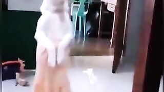 good dog#fyp