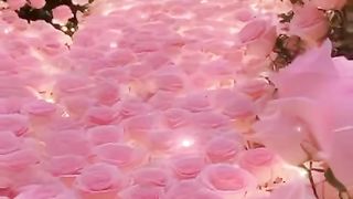 Beautiful flowers ????
