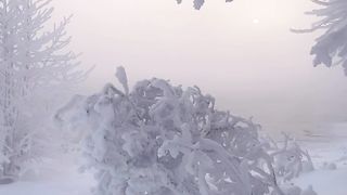 Winter. Beautiful