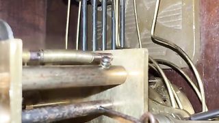 Amazing videos vol 348