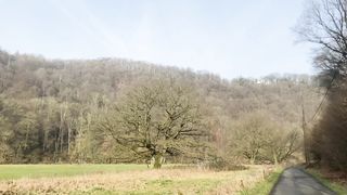 "Enigmatic Earth: A Cinematic Portrait of Nature's Silent Poetry ????????️ #NatureCinematics #VisualElegance"