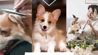 Living Vitality, Vitalidad viva