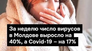 ПОИНТ МОЛДОВА