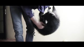 Енот ХАЙП RIP