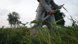 Річки України. Стохід. Загублений у часі