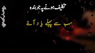 Qeemati insan