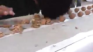 Funny Win