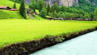 This place is a wonderful dream.